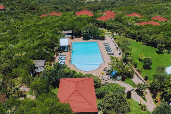 Una piscina al aire libre, sombrillas, sillones reclinables de piscina