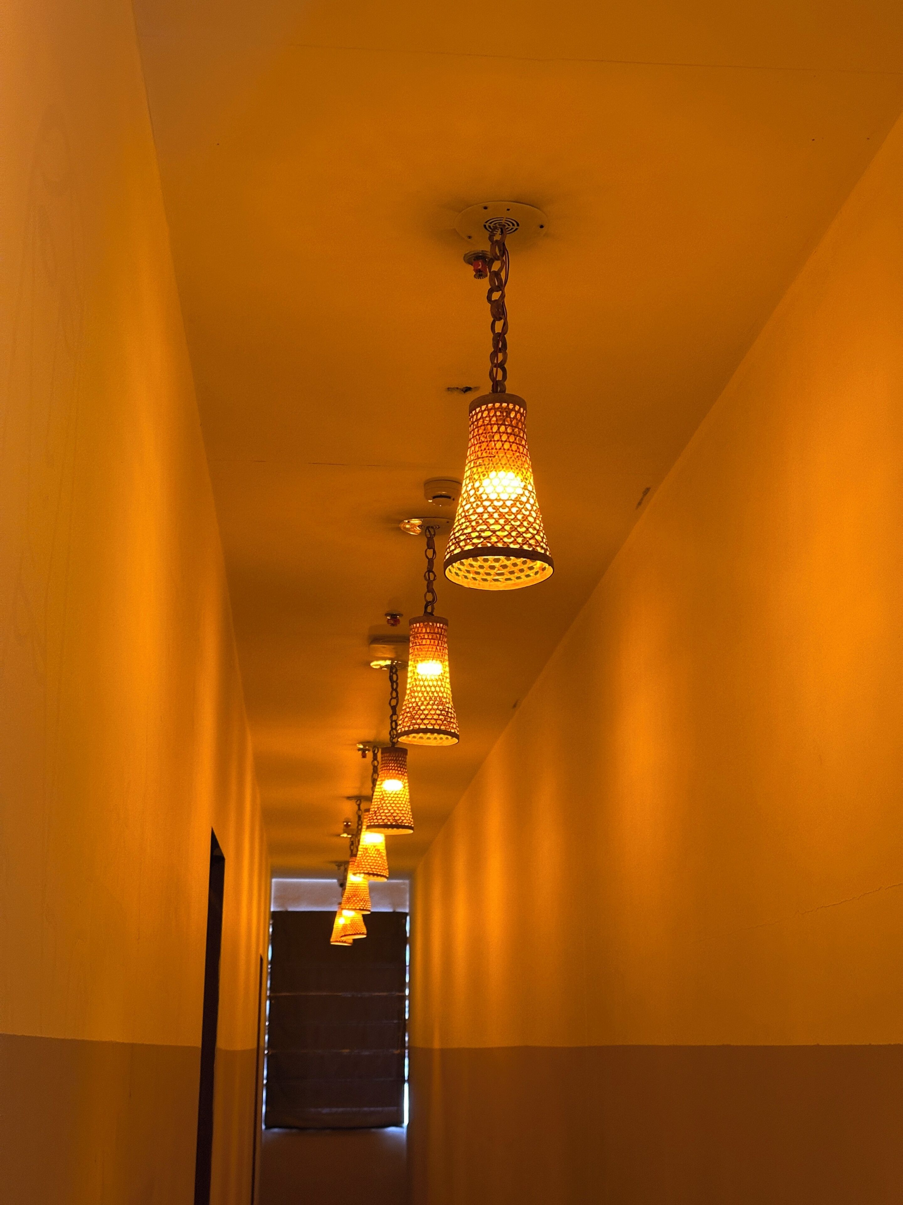 A hallway with multiple hanging lamps and a door at the end.