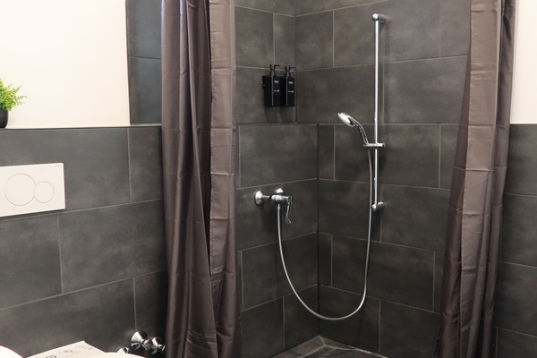 Family Triple Room | Bathroom | Shower, hair dryer, towels, soap