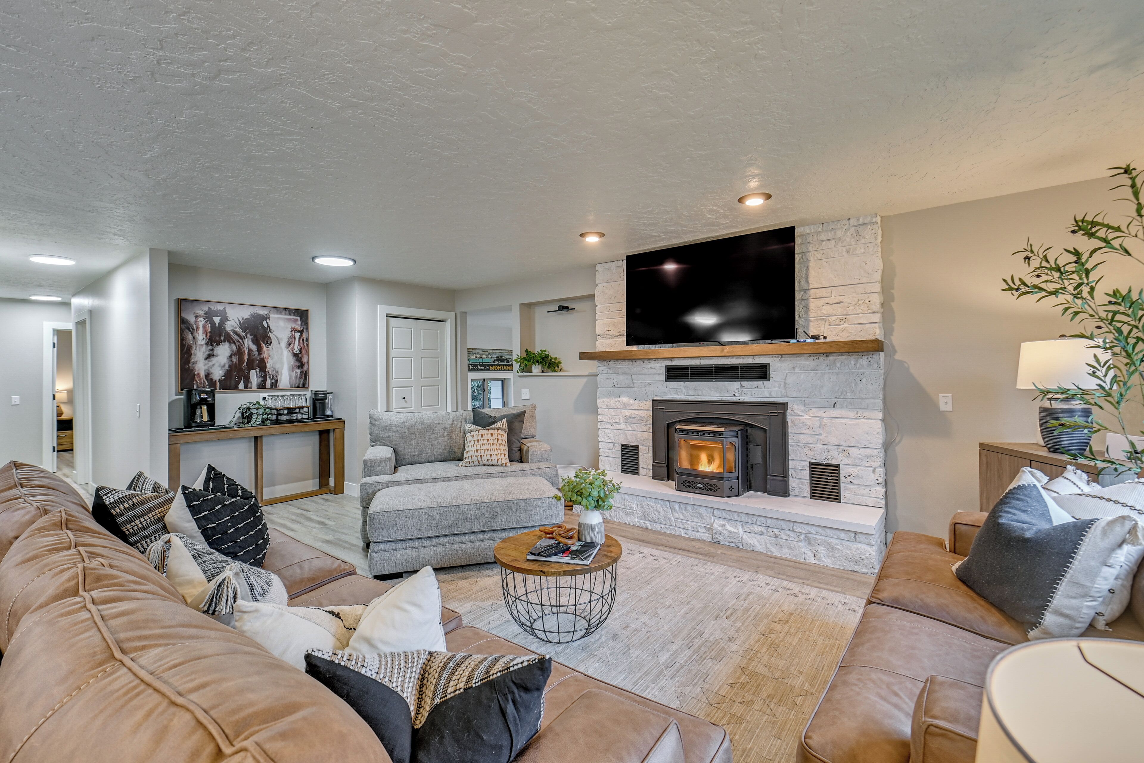 TV, fireplace, books