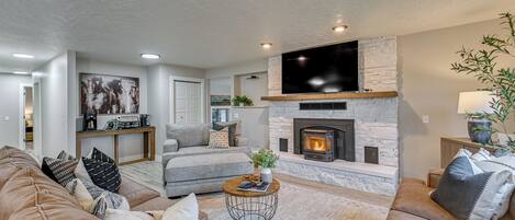 TV, fireplace, books