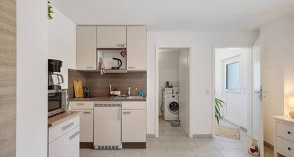 Apartment on an Equestrian Estate in Gomadingen