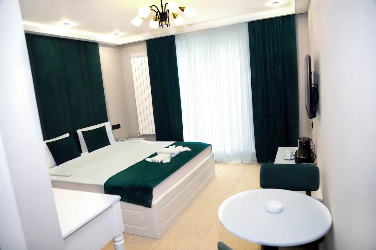 Standard Double Room, Park View | Desk, laptop workspace, blackout drapes, soundproofing
