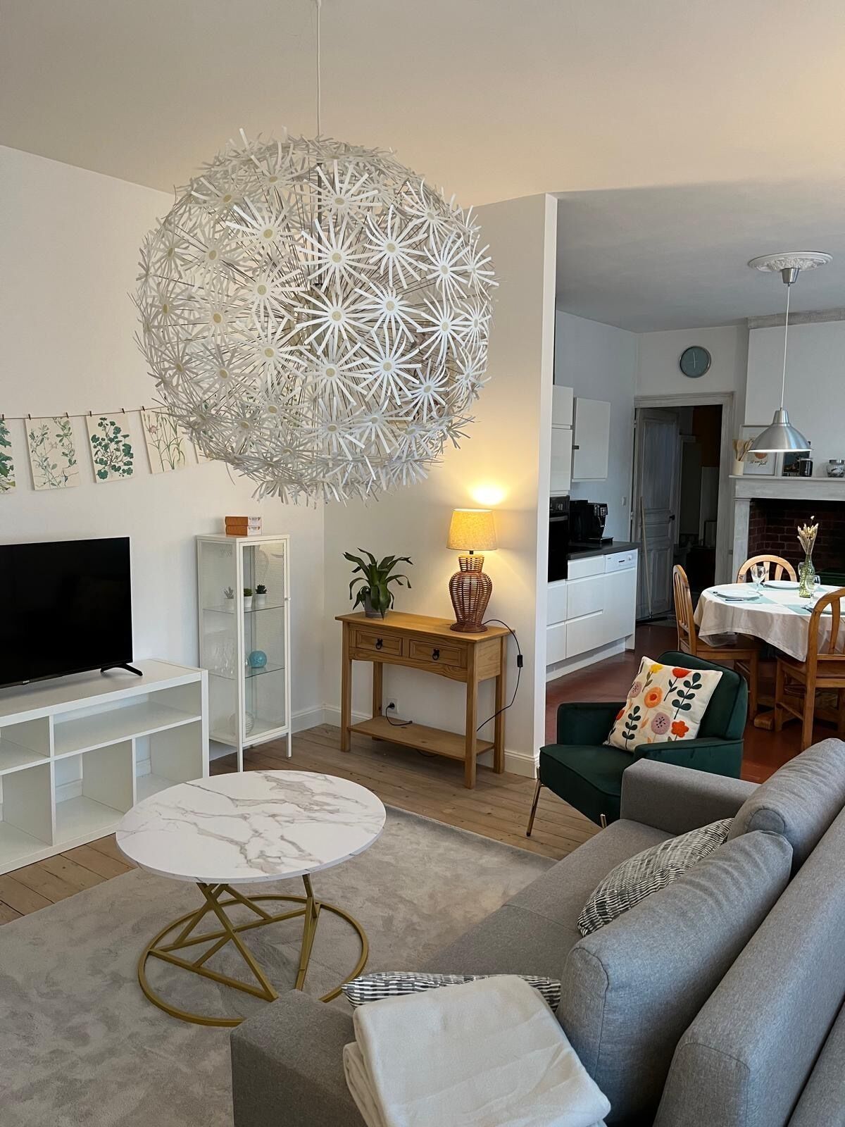 TV, fireplace, books