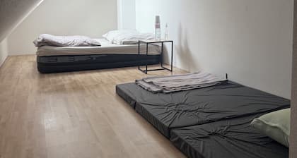 Altan Zimmer's Elmshorn