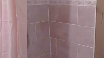 Shower, hair dryer