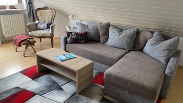 Fernseher