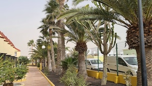 A pathway lined with palm trees and a building with a red roof. - Casa Zimbo in Costa Calma (Pajara)