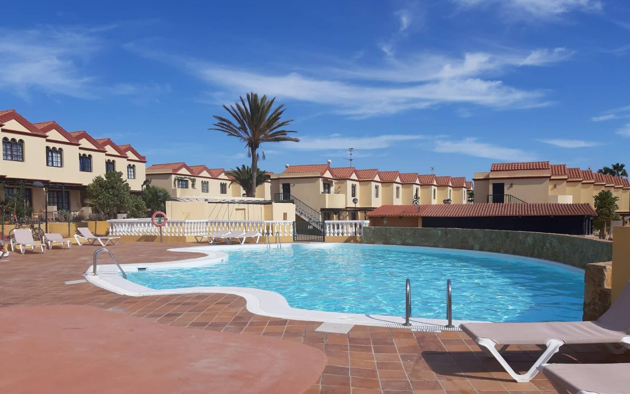 A swimming pool with lounge chairs, a palm tree, and buildings with red-tiled roofs.