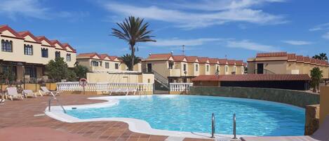 A swimming pool with lounge chairs, a palm tree, and buildings with red-tiled roofs.