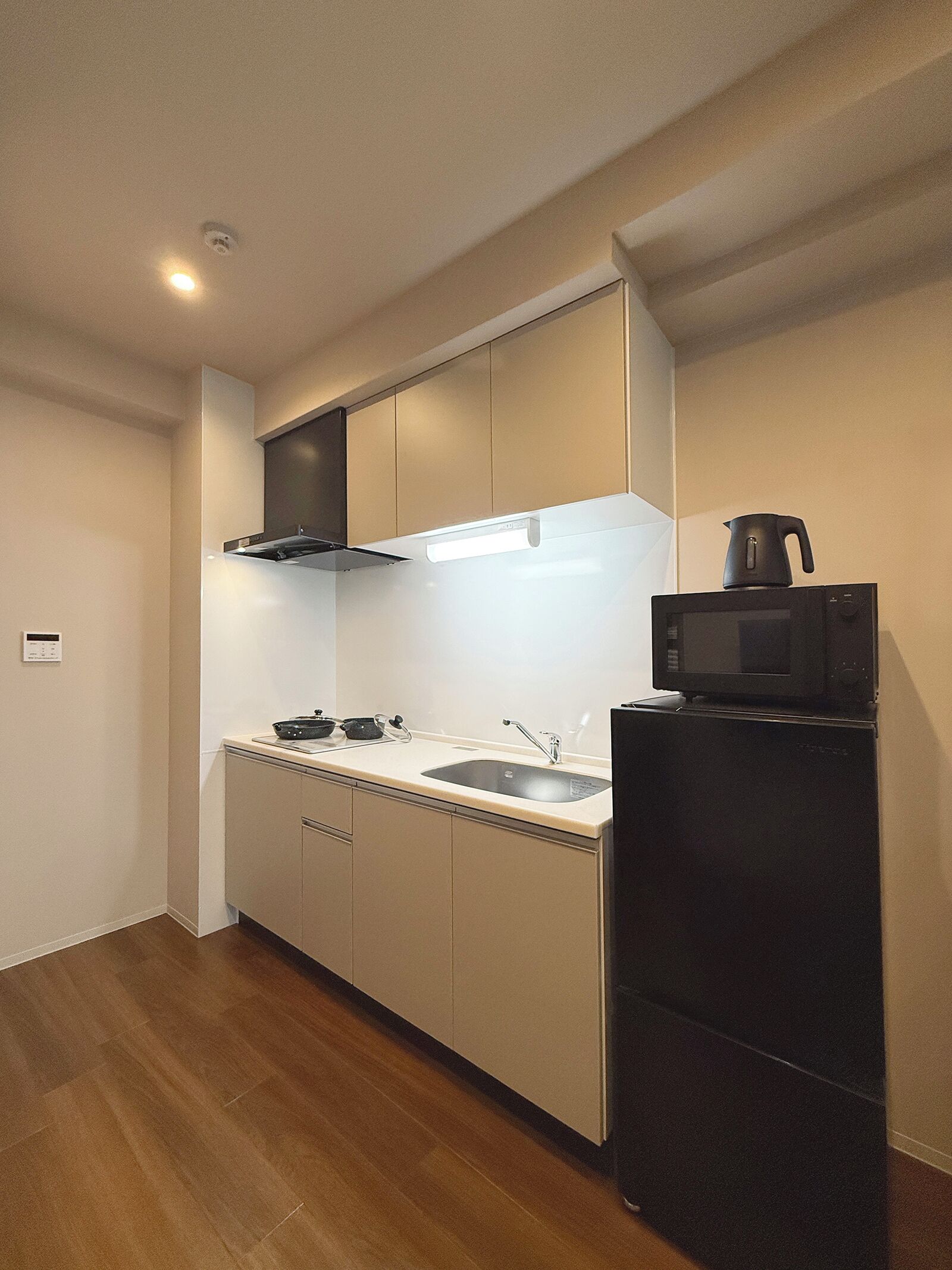 City Apartment | Private kitchen | Fridge, microwave, stovetop, electric kettle