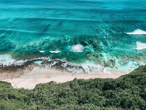 Ein Strand mit klarem türkisblauem Wasser, einem sandigen Ufer und dichter, grüner Vegetation im Vordergrund.