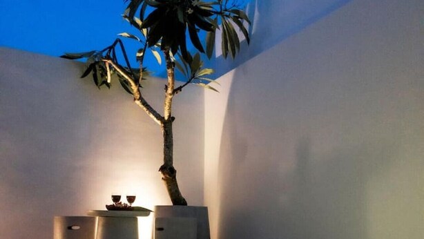 Une petite piscine intérieure avec un arbre et deux objets cylindriques, probablement des haut-parleurs, dans un coin.