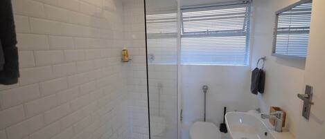 Shower, hair dryer, shampoo