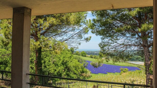 A view from a covered balcony overlooking a vineyard with solar panels.
