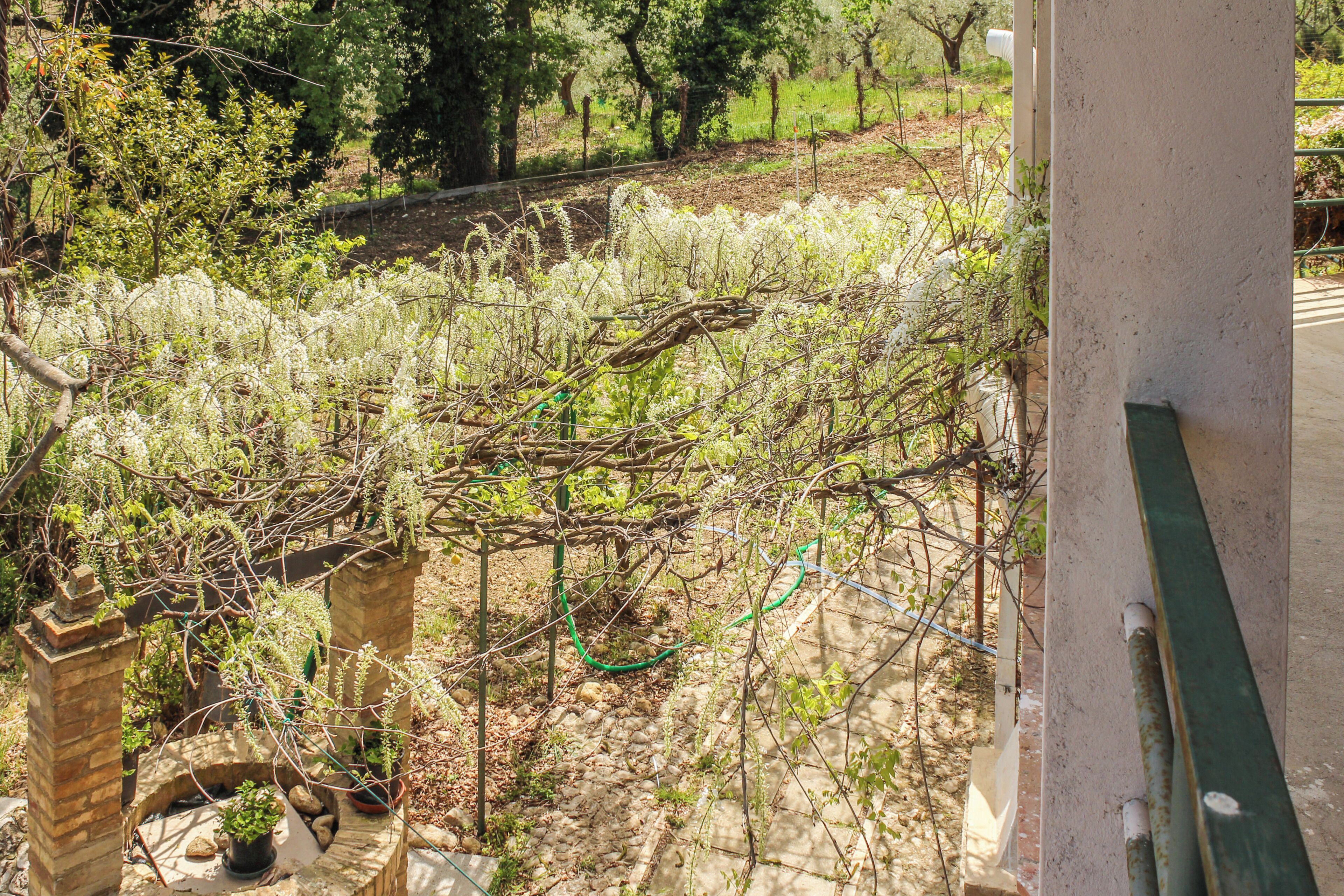 Villa, 2 chambres, cuisine | Enceinte de l’hébergement