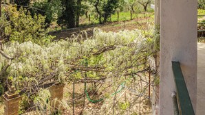 A garden with a trellis structure, a brick archway, and a green hose. - La Casa di Pippo (Pollutri)