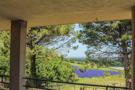 A covered outdoor area with a view of solar panels and trees.