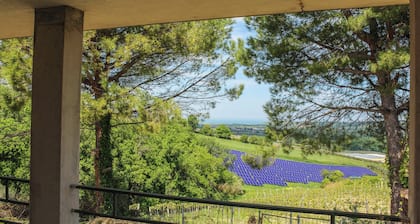 La Casa di Pippo