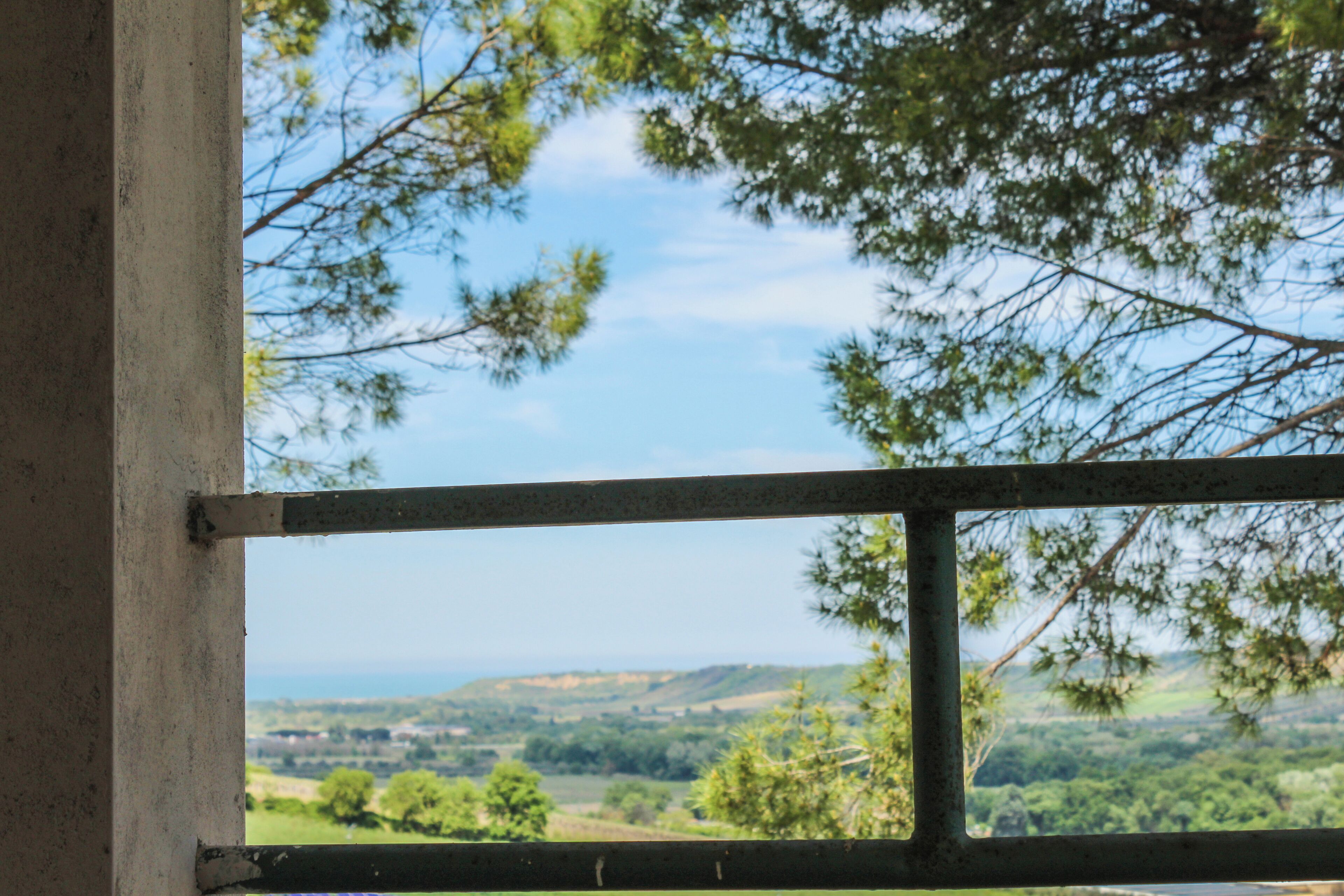 A view through a window with a metal frame, overlooking a landscape with trees and hills.