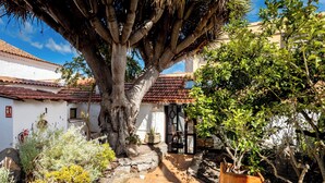 A courtyard with a large tree, potted plants, and a tiled roof. - Hotel Emblemático Duque de la Torre (Arona)