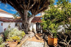Ein Innenhof mit einem großen Baum, Kübelpflanzen und einem Ziegeldach.