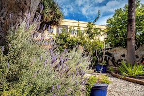 Ein Garten mit Lavendelpflanzen, einer Palme und einem Gebäude mit einer Steinmauer im Hintergrund.