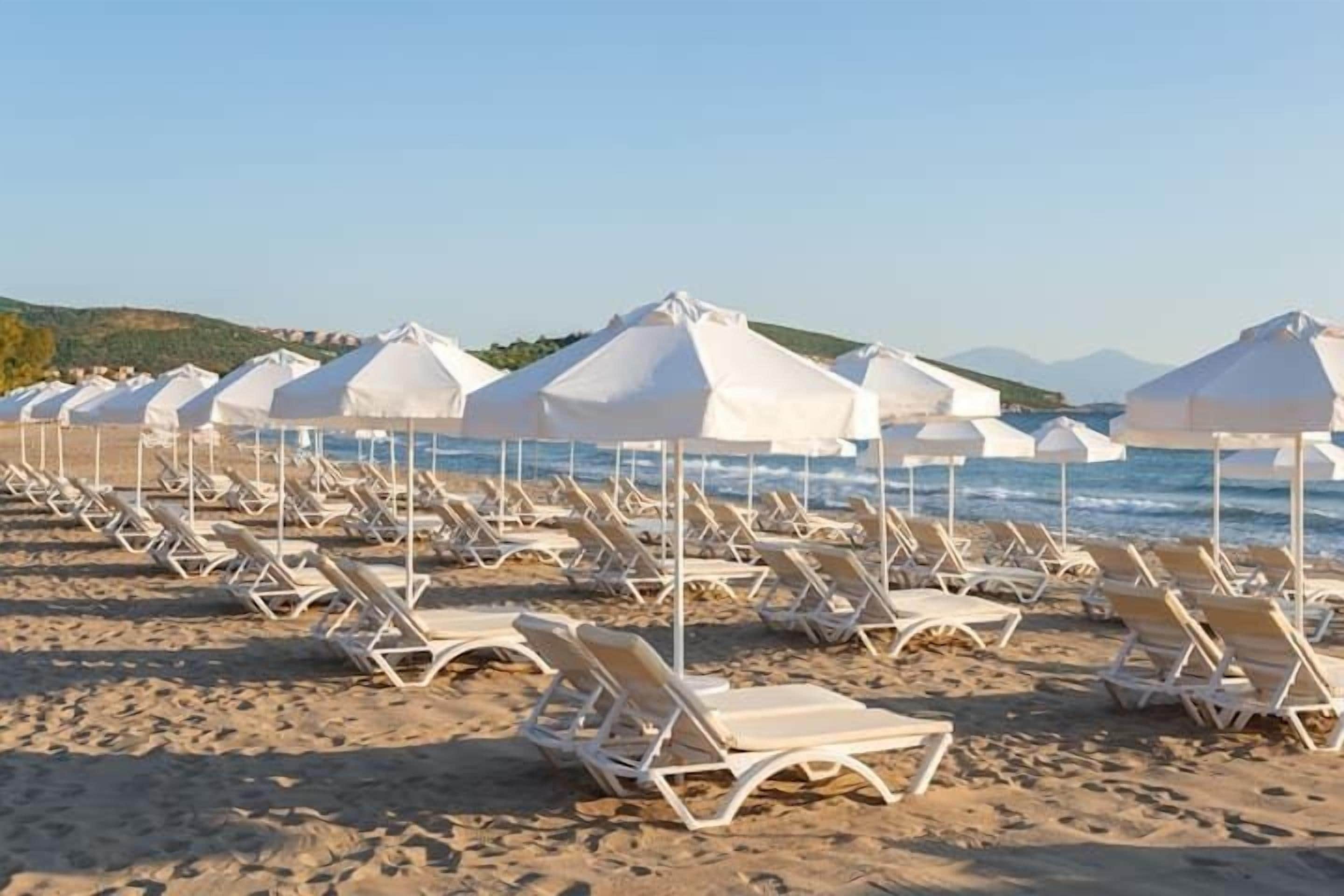 Uma praia com fileiras de espreguiçadeiras e guarda-sóis.