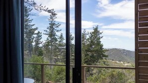 A room with a view of a forested landscape.