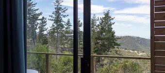 Myrtle Forest Retreat Cabin • Verandah + Braai