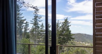 Myrtle Forest Retreat Cabin • Verandah + Braai