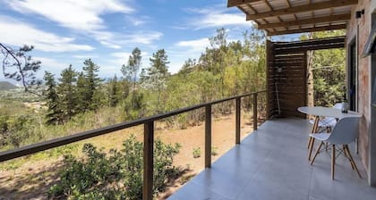 Pine Forest Retreat Cabin • Verandah + Braai