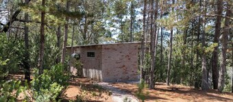 Pine Forest Retreat Cabin • Verandah + Braai