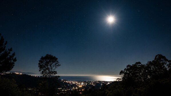 Cielo nocturno con una luna brillante y estrellas, un paisaje urbano iluminado y árboles enmarcando la vista.