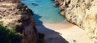 Villa Pinus Village – Relax just steps from the sea