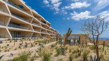 A modern hotel with multiple balconies, a desert garden with cacti, and a view of the ocean.