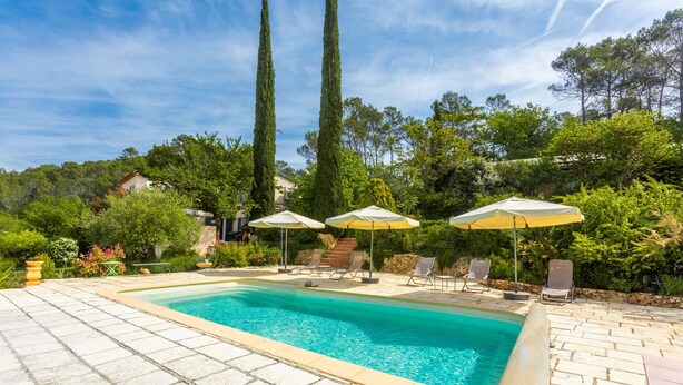 Una piscina rectangular con un borde de baldosas, rodeada de sillas de descanso y sombrillas, con altos árboles y una casa al fondo.