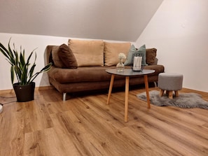 TV, DVD player, stereo - Cozy Holiday Apartment for 4 Guests with Free WiFi (Walkenried)