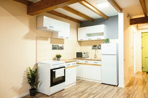 Private kitchen - Apartment Sleeps 4 With Pets Welcome (Timisoara)