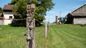Ein rustikaler Holzpfosten mit einer Metallspirale, ein grasbewachsenes Feld und ein Gebäude in der Ferne.
