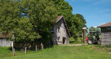 Farmhouse Retreat at Aux Moineaux – Nature Getaway in the Vosges
