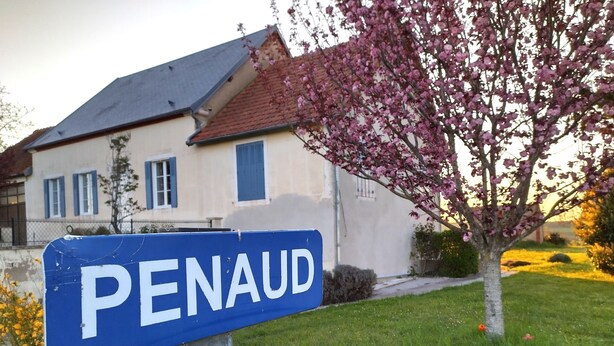 Un cartel con la leyenda 'PENAUD', una casa con techo rojo y un árbol con flores rosadas.