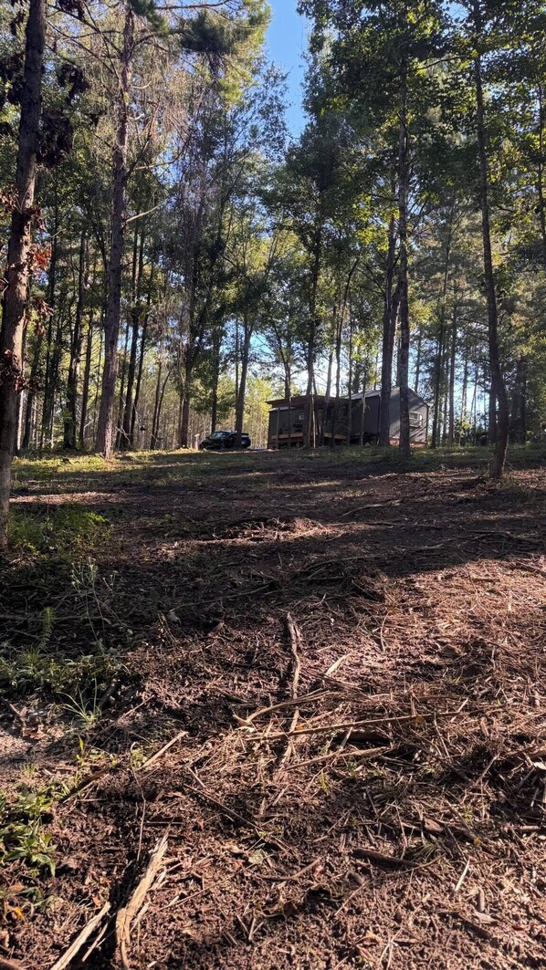 A forested area with a cabin and a car parked nearby. - Tiny Home on 20 acres with Hot Tub, close to town (Sumrall)