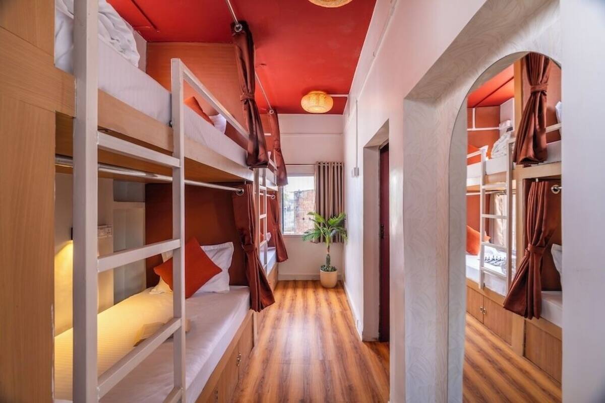 Un pasillo estrecho con literas, suelo de madera, una planta en maceta y una ventana con cortinas.