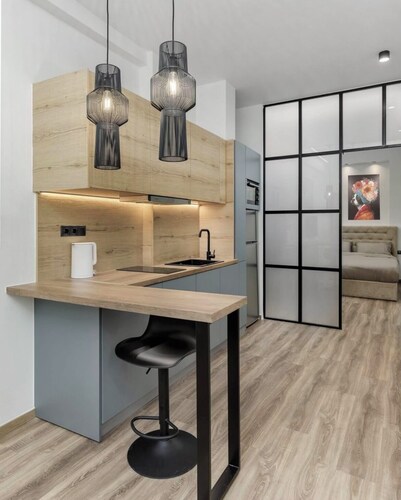 Modern Apartment Near Downtown Cozy, Bright & Well Connected