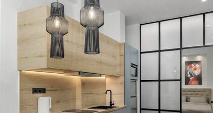Modern Apartment Near Downtown Cozy, Bright & Well Connected
