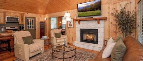 TV, fireplace, video games