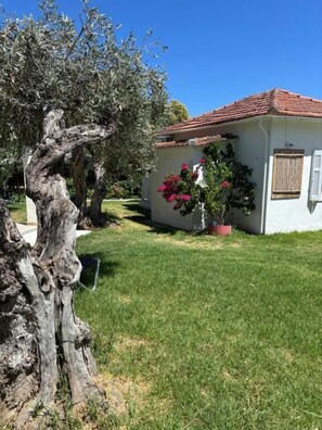 Jardín