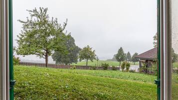Paesaggio rurale con una staccionata di legno, alberi e un piccolo edificio.