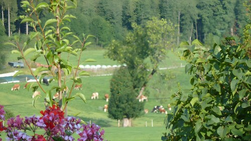 Ferienwohnung Hörnle mit privater Terrasse, Garten und WLAN